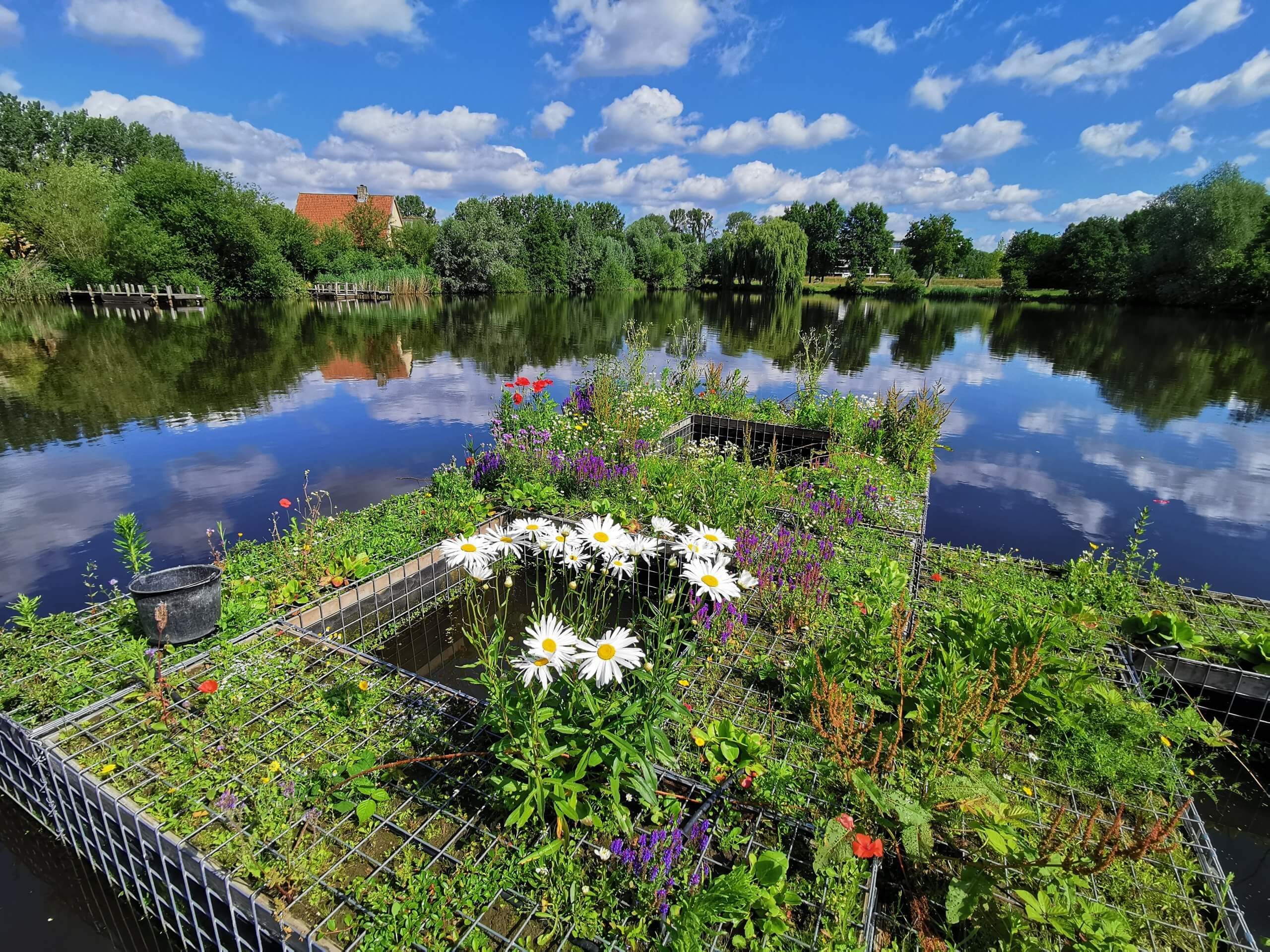 Waterstudio.nl - Blue Habitats