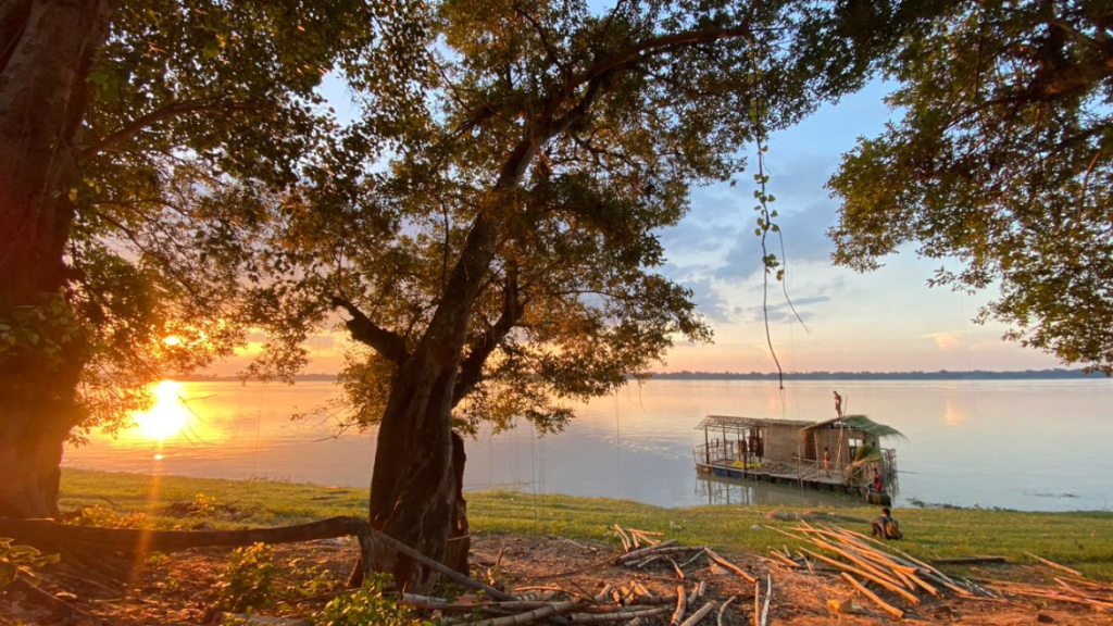 A tranquil sunset scene on the Gange river in Bihar, with the sun casting a golden hue across the sky and water. The City App prototype is visible in the background, moored near the shore. A large tree with a prominent trunk dominates the foreground, its branches creating a natural frame around the City App. The uneven ground near the shore, scattered with grass and fallen twigs, adds to the picturesque view.